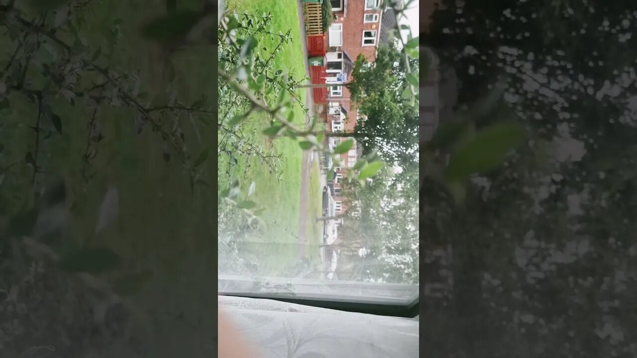 #veiws_viral_video_subscribers_grow #clip