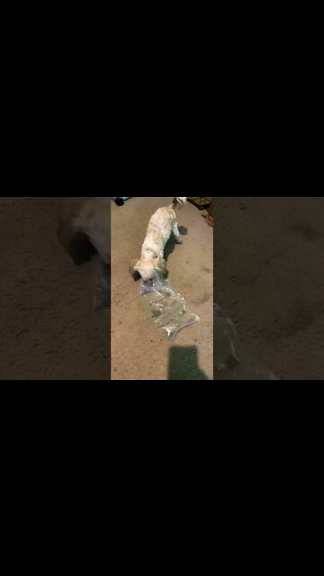 Every time we get a package.