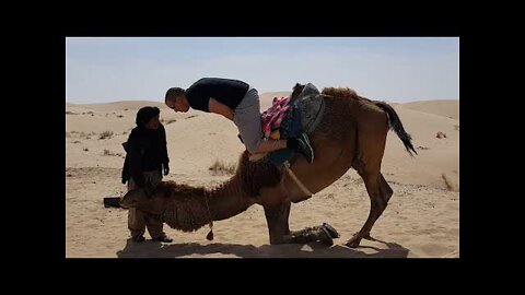 Epic Desert Fails