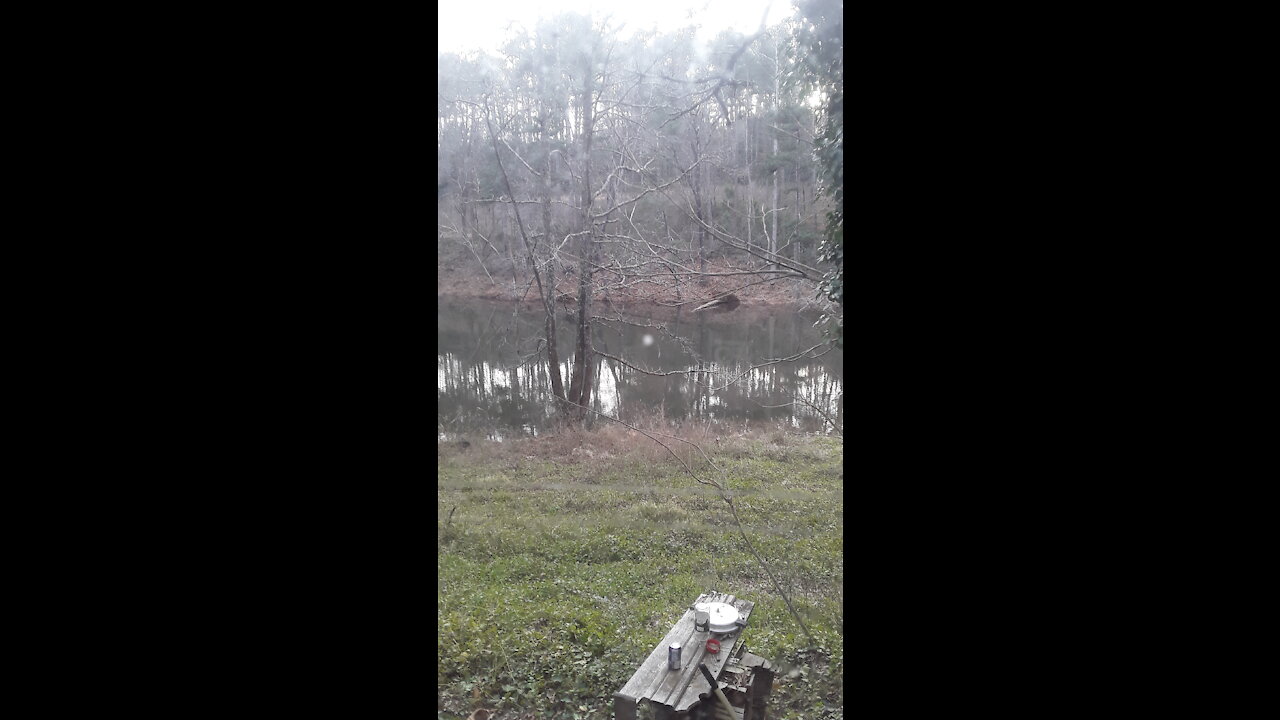 Alex Jones 1st Hr(01/20/2021)