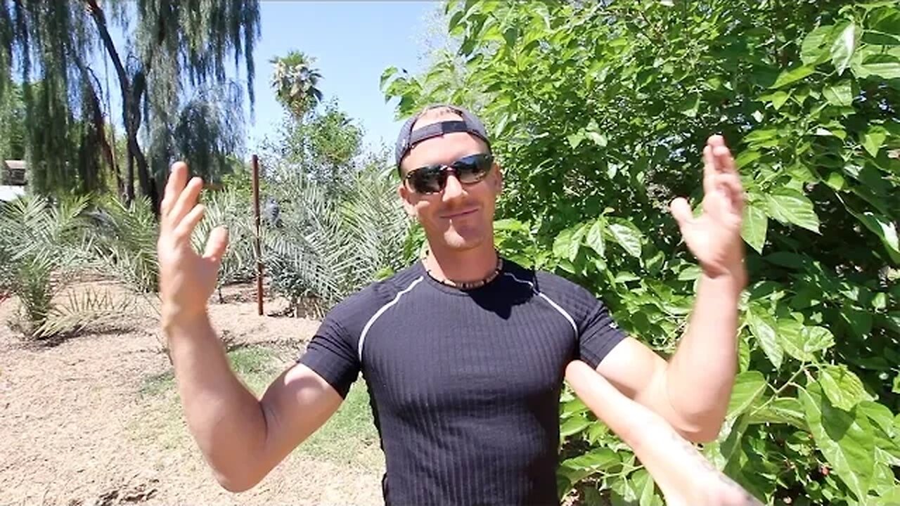 The Number One Mistake New Gardeners Make!