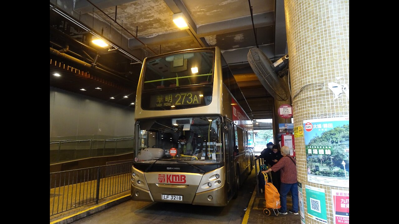 [HK Bus Tour] KMB Route 273A Choi Yuen - Wah Ming 九巴273A線彩園-華明循環線