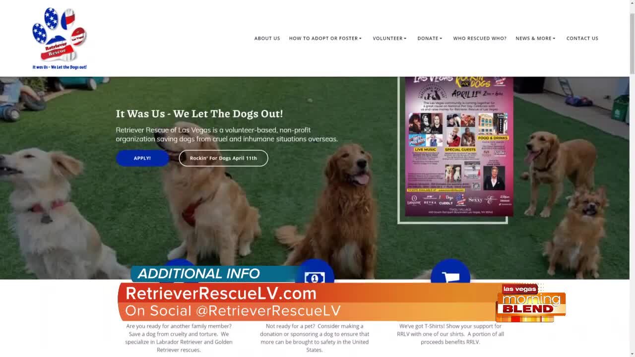 Rockin' for Dogs