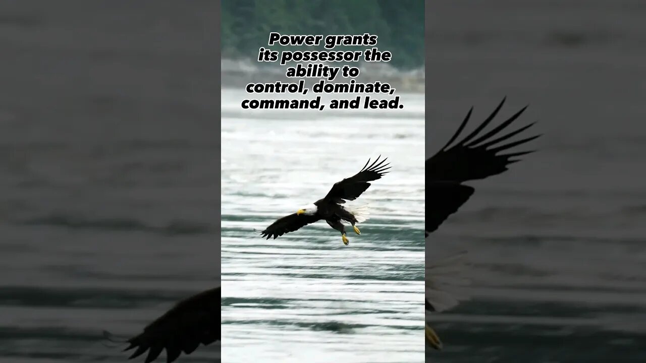 Eagle 🦅 Sea Sky Nature Daily Quotes From Trinidad and Tobago 🇹🇹