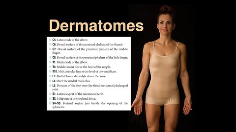 Dermatomes