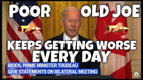 Joe Biden Keeps Losing his Place and Slurring through his Latest Speeches (animals shocked!)