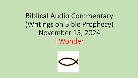 Biblical Audio Commentary – I Wonder