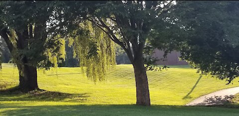 Respectable Sins - Selfishness