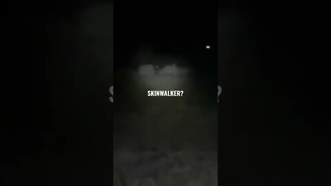 SKINWALKER between the bushes? 👀😬 #skinwalker