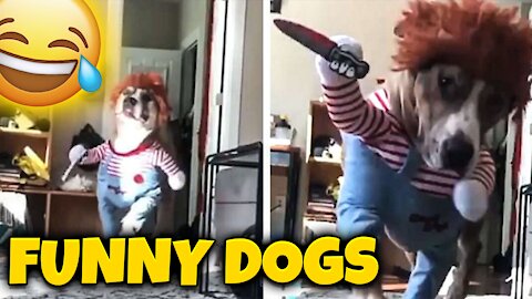 FUNNY DOGS COMPILATION 🤣🐶 [2021 UPDATED] 🤣