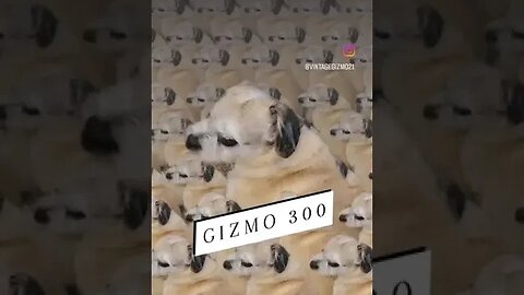 THE BRAVE GIZMO 300