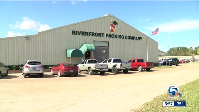 No relief in sight for citrus industry
