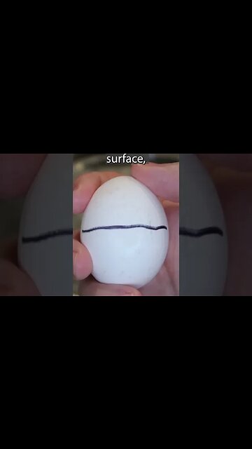How to Crack An Egg With One Hand #shorts