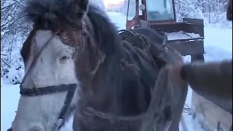 Hunting ~ in ~ Baikal ~ Lake ~ Cave