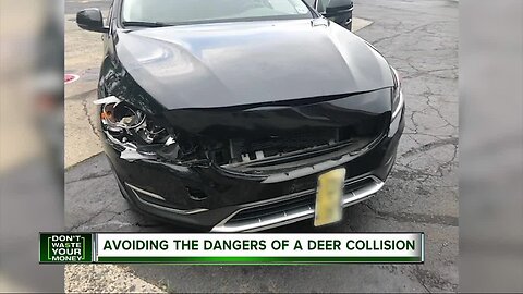 How to avoid collisions with deer this fall