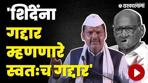 फडणवीसांच्या टार्गेट वर परत एकदा मोठे पवारच | BJP | NCP | Sharad Pawar | Devendra Fadanavis