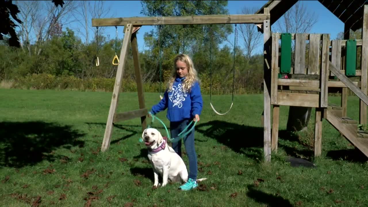 Special needs children receive untrained service dog or no dog at all after raising $20K or more