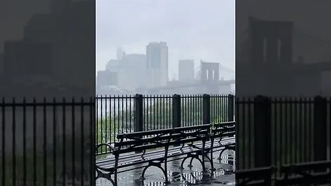 Rainy Day In Brooklyn tiktok melissaamale