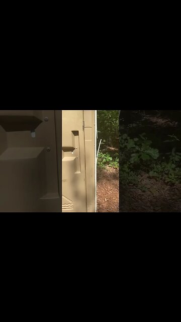 Just a walk in the park. What do we have here. #outdoors #shortsvideo #seo @RDReynoldsOutdoors