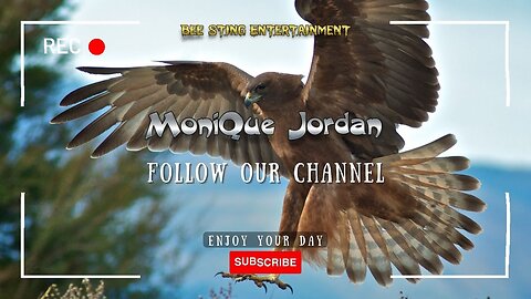 Mo Jordan.🍀 brings - Hawk Sounds 🦅 #nature #hawks