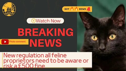 New regulation all feline proprietors need to be aware or risk a £500 fine