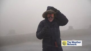 Icy waves crash along Lake Ontario boardwalk