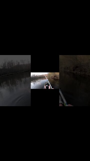 Mulit species kayak fishing in Ohio