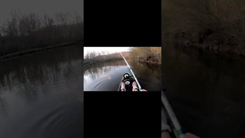 Mulit species kayak fishing in Ohio