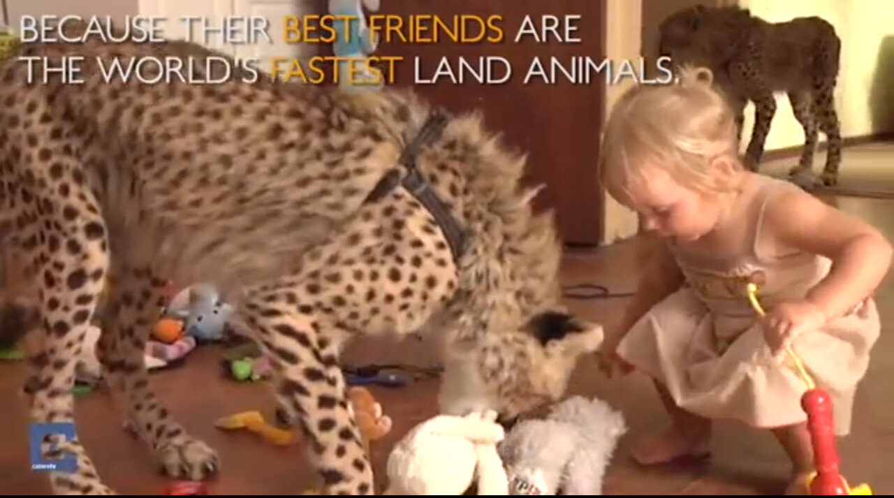 The baby and the baby tiger are two good friends. They are playing with toys together.