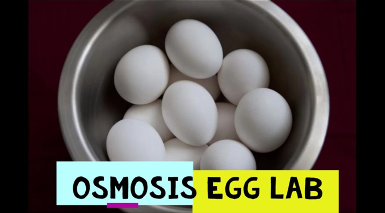 Contemporary Biology - Osmosis Egg Lab Overview