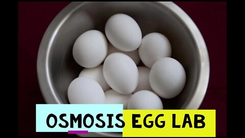 Contemporary Biology - Osmosis Egg Lab Overview