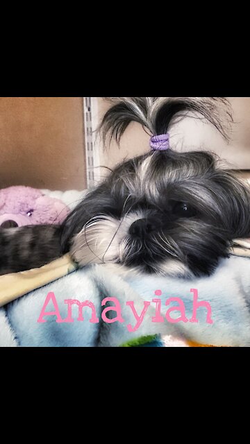 Amayiah and Fast Car