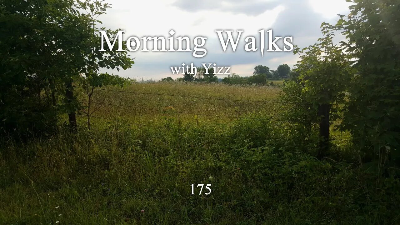 Morning Walks with Yizz 175