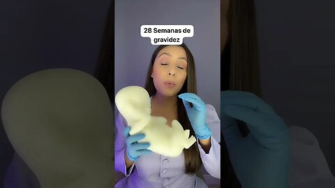 28 Semanas de gravidez