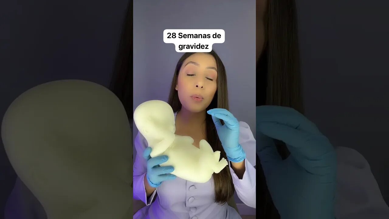 28 Semanas de gravidez