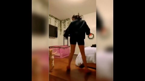 Dance