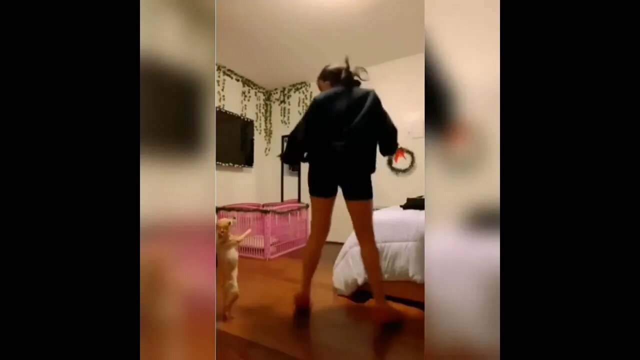 Dance