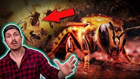 IF you can watch till the end… you won’t regret it (*DISTRESSING CONTENT*)