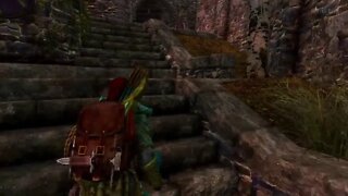 SKYRIM V AE|Vigilant #8
