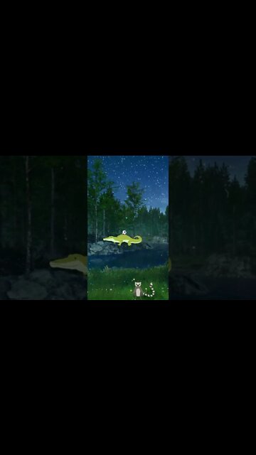 What Animals Do At Night #Shorts 🙊