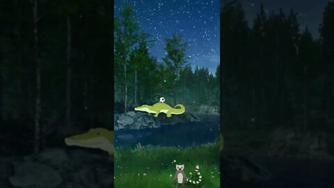 What Animals Do At Night #Shorts 🙊