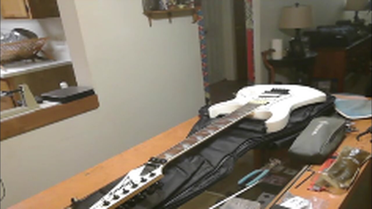 Saving A 2002 Ibanez RG Series 250DX Video #1