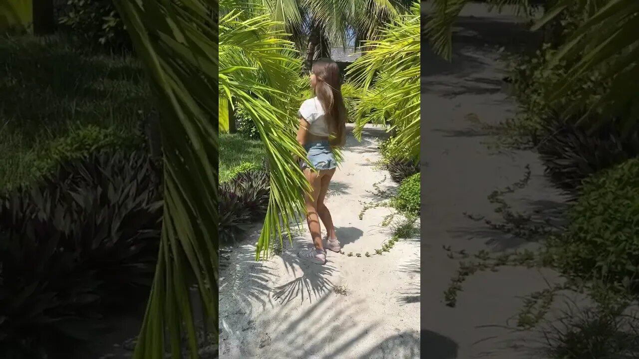 🏝🏝🏝