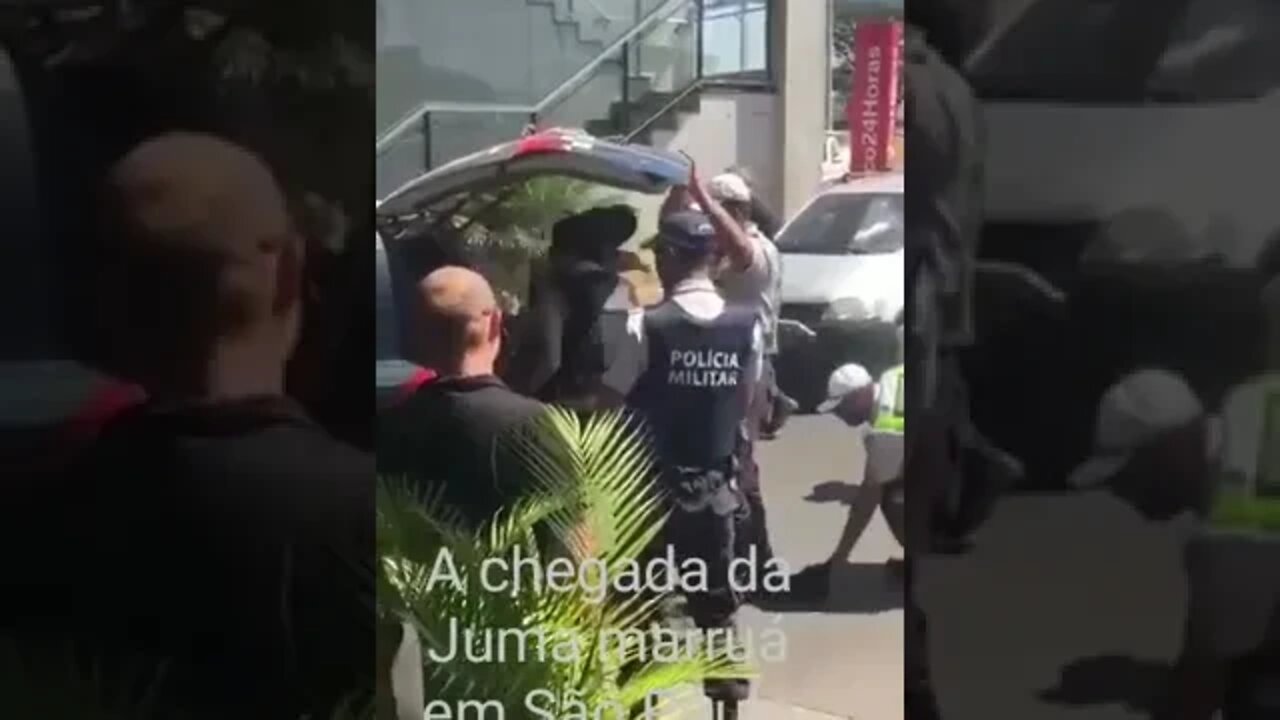 A chegada da Juma marruá em São Paulo