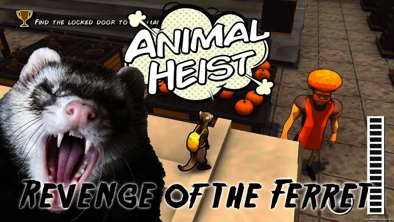 Animal Heist - Revenge of the Ferret