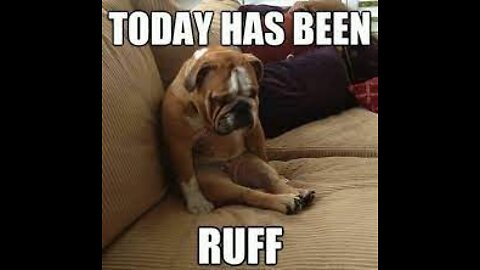 Welcome To The Giant Poop Show