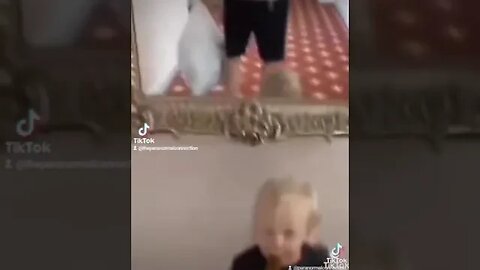 What does the little guy see?