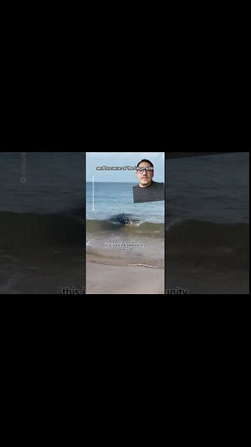 Saltwater Crocodiles are KINGS of the ocean