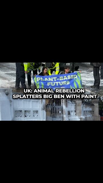 UK: Animal Rebellion splatters Big Ben with paint