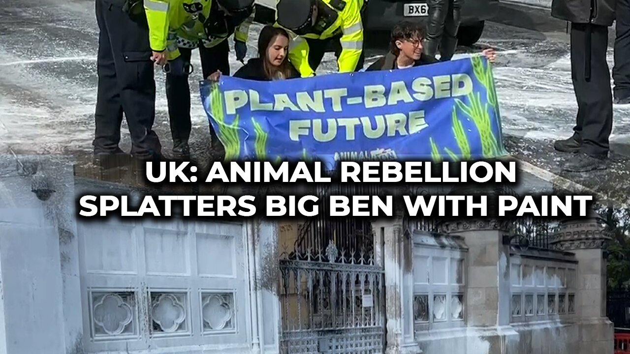 UK: Animal Rebellion splatters Big Ben with paint